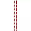 Christmas Party Paper Straws